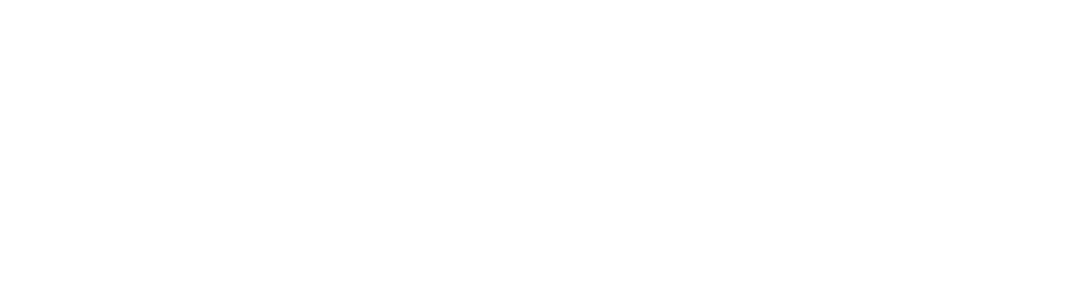 Couto Silva Advogados